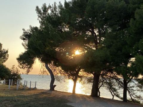 Umag 2020 – 8