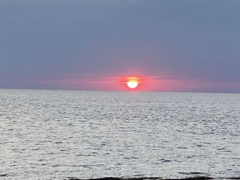 Umag 2020 – 29