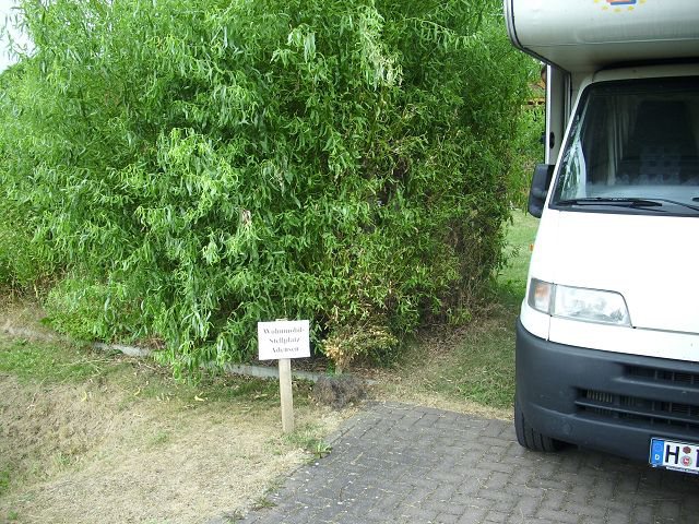 Adensen 2010