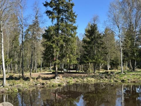 Sweden and Stockholm 2026 – 24