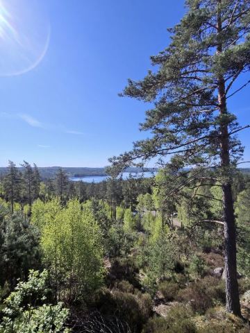 Schweden mit Stockholm 2026 – 33