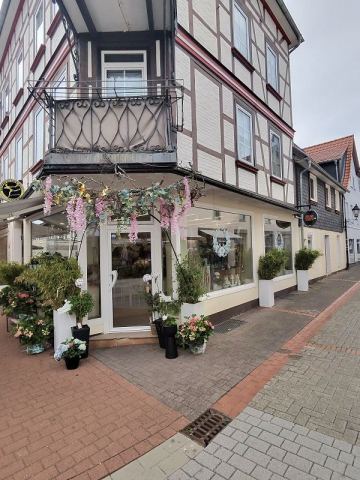 Mit dem Wohnmobil an Ostsee, Elbe und Harz – 13
