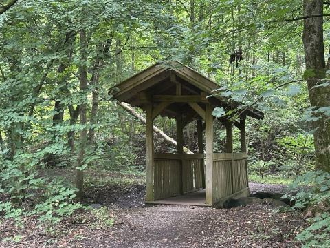 Mit dem Wohnmobil an Ostsee, Elbe und Harz – 5