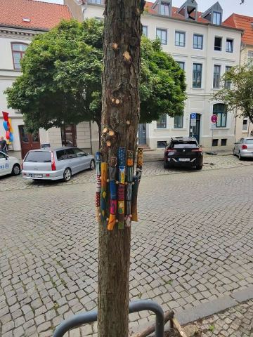 Mit dem Wohnmobil an Ostsee, Elbe und Harz – 46