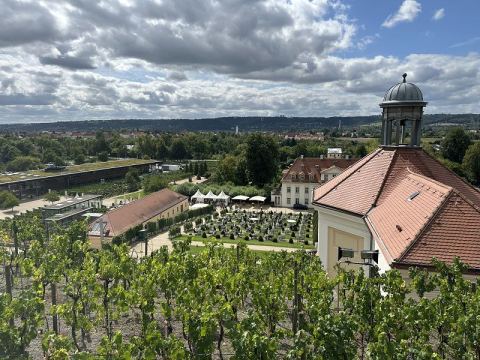 Mit dem Wohnmobil an Ostsee, Elbe und Harz – 29