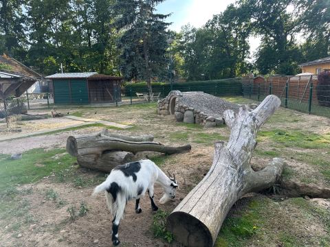 Mit dem Wohnmobil an Ostsee, Elbe und Harz – 3