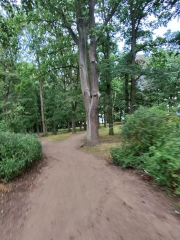 Mit dem Wohnmobil an Ostsee, Elbe und Harz – 12
