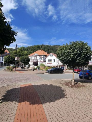 Mit dem Wohnmobil an Ostsee, Elbe und Harz – 11