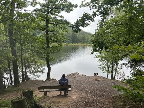 Mit dem Wohnmobil an Ostsee, Elbe und Harz – 8