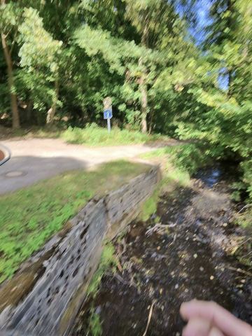 Mit dem Wohnmobil an Ostsee, Elbe und Harz – 9