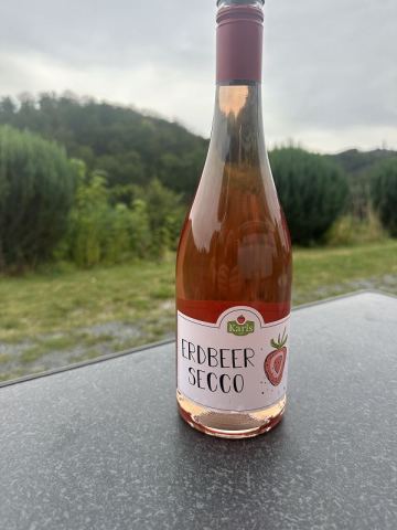 Mit dem Wohnmobil an Ostsee, Elbe und Harz – 6