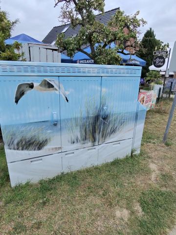 Mit dem Wohnmobil an Ostsee, Elbe und Harz – 7