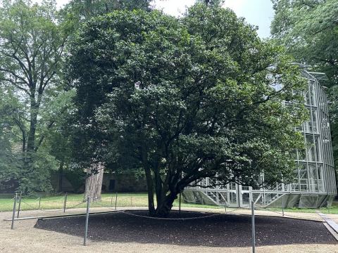 Mit dem Wohnmobil an Ostsee, Elbe und Harz – 20