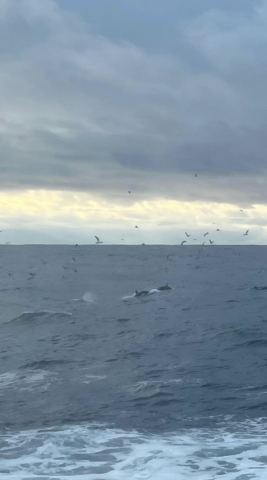 AIDA North Cape 2023 – 20