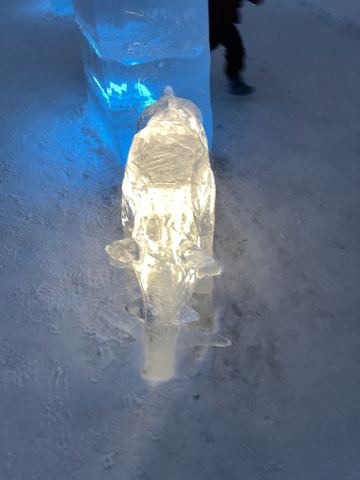 AIDA North Cape 2023 – 13