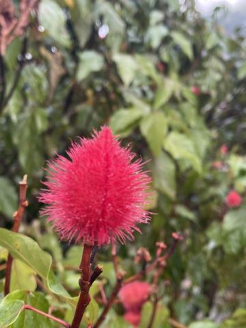 AIDA Caribbean 2023 – 17