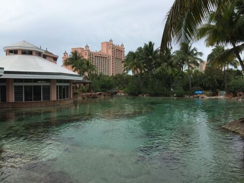 AIDA Caribbean 2015 – 9