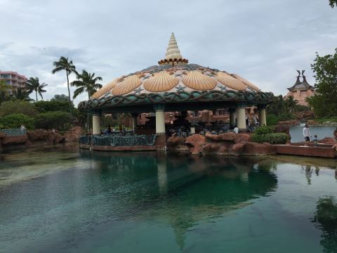 AIDA Caribbean 2015 – 21