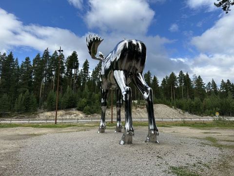 Norway 2025 – 36