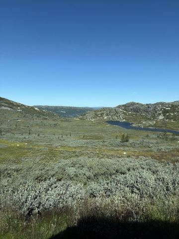 Norway 2025 – 17