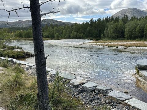 Norway 2025 – 29