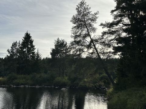 Norway 2025 – 41