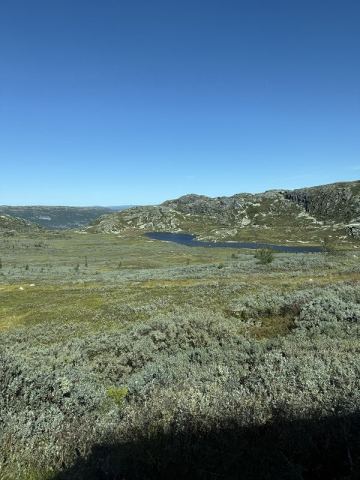 Norway 2025 – 18