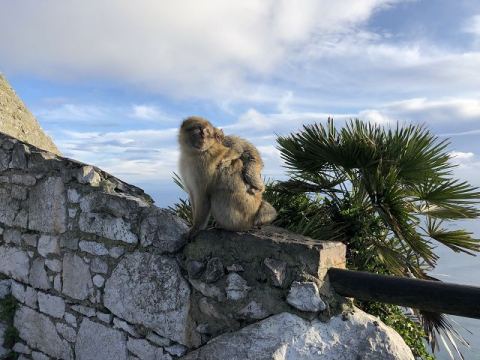 TUI Mittelmeer 2019 – 28