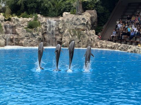 AIDA Canary Islands 2024 – 25