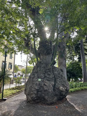 AIDA Kanaren 2024 – 23