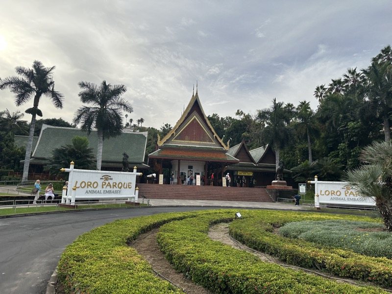 AIDA Canary Islands 2024
