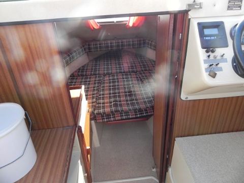 Sealine Conti 18 – 15