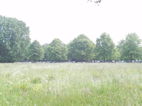 Steinhude 2011 – 6