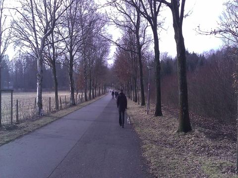 Bad Driburg 2013 – 4
