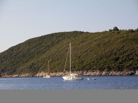 Betina 2012 – 400