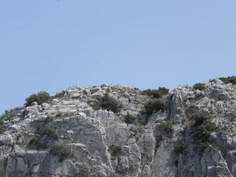 Betina 2012 – 157