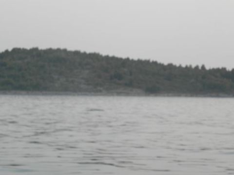 Betina 2012 – 174