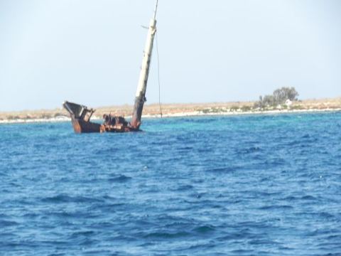 Betina 2012 – 78