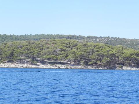 Betina 2012 – 71