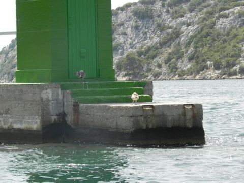 Betina 2012 – 158