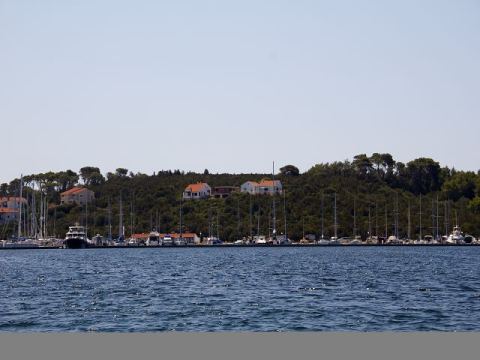 Betina 2012 – 325