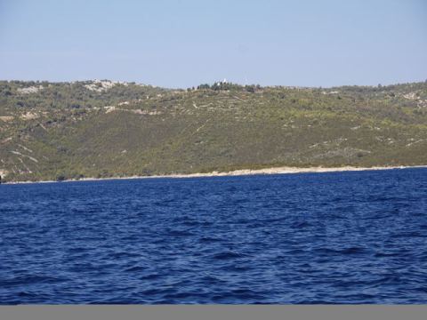 Betina 2012 – 310