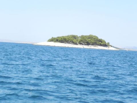 Betina 2012 – 21