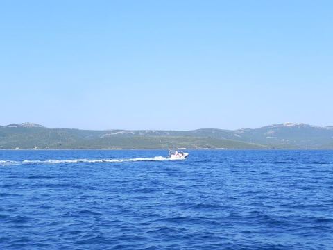 Betina 2012 – 69