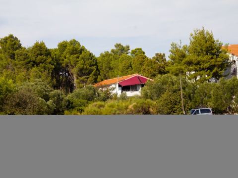 Betina 2012 – 337