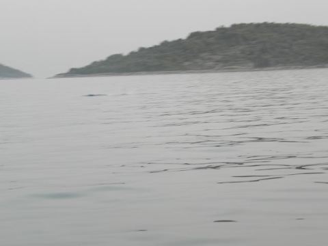 Betina 2012 – 177