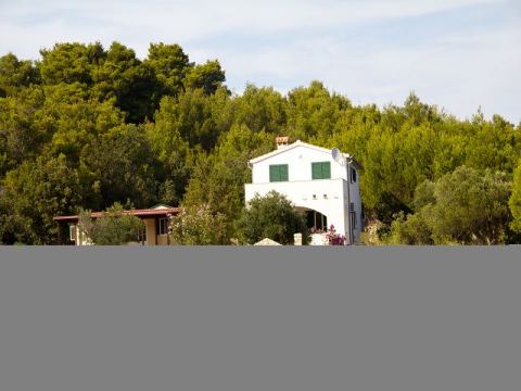Betina 2012 – 336