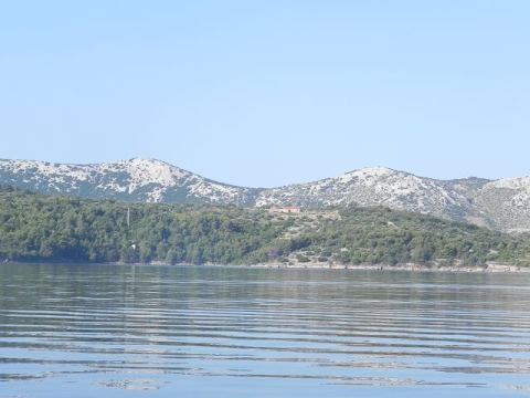Betina 2012 – 140