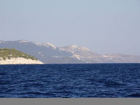 Betina 2012 – 300