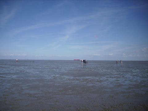 Duhnen 2009 – 25